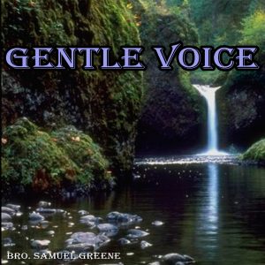 Gentle Voice (album)