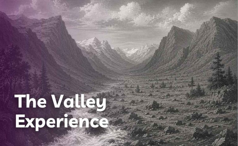 The Valley Experience